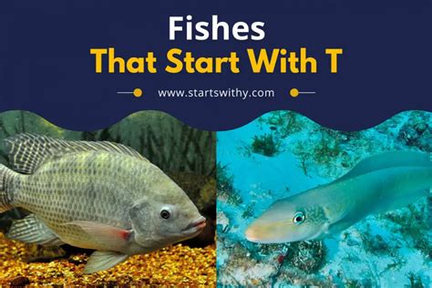 Fish That Start With T [Freshwater & Saltwater Fish Name List].